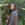 Jinan Thenuttykallingal